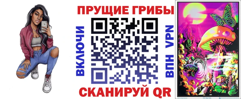 Галлюциногенные грибы MAGIC MUSHROOMS  дарк нет клад  Большой Камень 